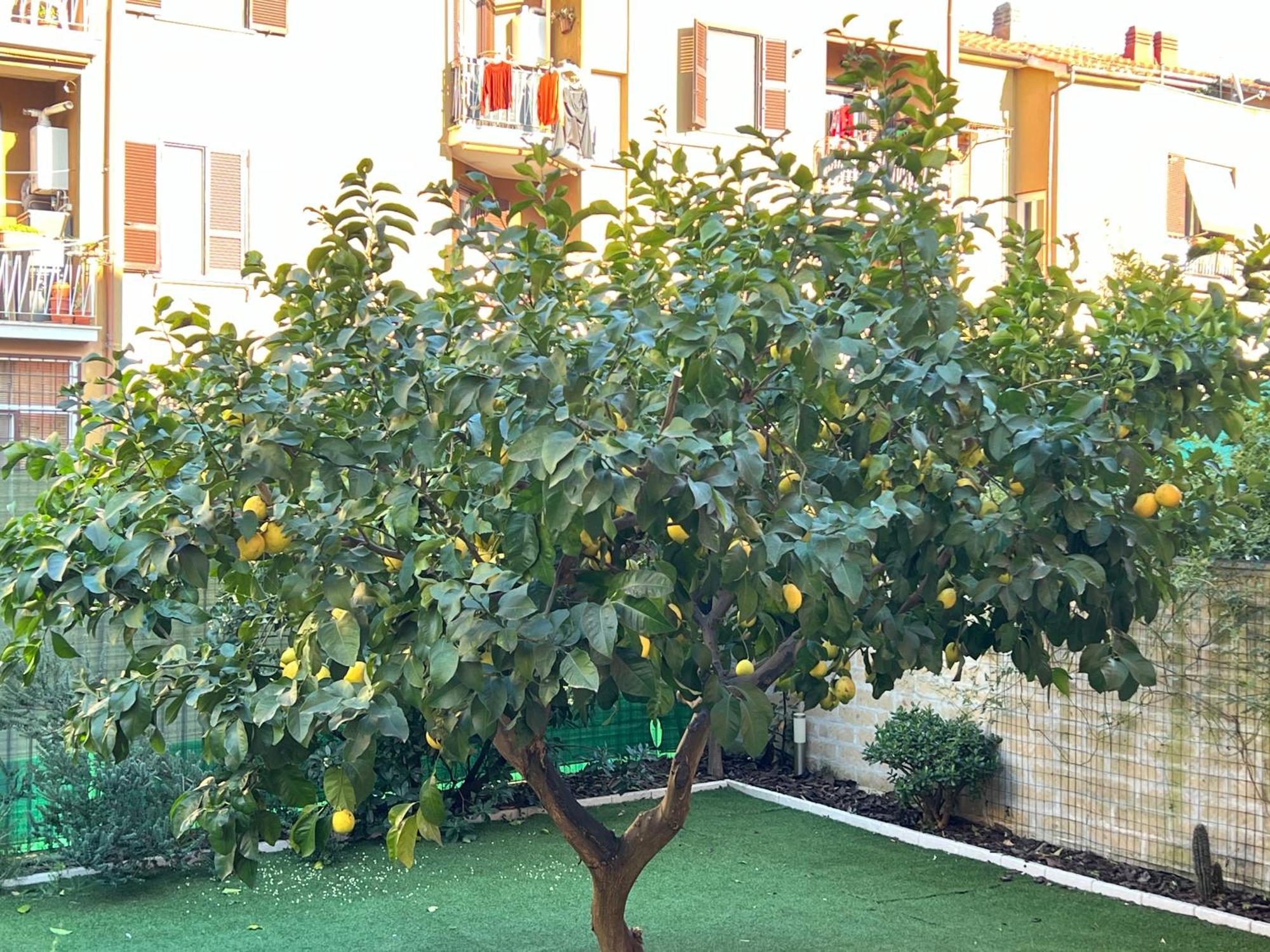 Casa Paestum. Your Wonderful Garden In רומא מראה חיצוני תמונה